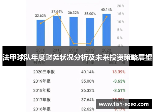 法甲球队年度财务状况分析及未来投资策略展望